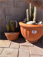 2 Terra Cotta Planters / Cactus