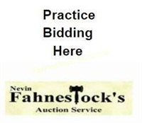 New to on-line Auctions?