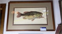 Framed largemouth bass signed and numbered