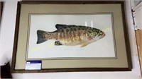 Framed smallmouth bass artist signed and numbered