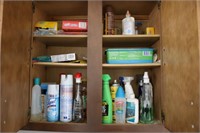 Household Chemical/Cleaner Lot