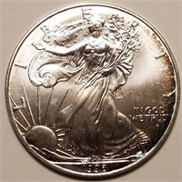 1996 American Silver Eagle - KEY DATE - Rim Toner