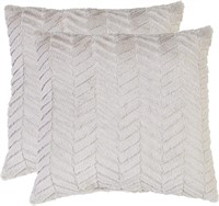 Aiden Chevron Decorative Pillow Set of 2