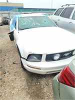 05 FORD   MUSTANG    CP    1ZVFT80N355134293