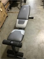 Golds gym workout bench
