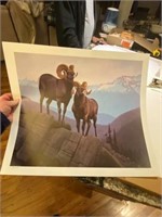 Sylvester Lee Lester Bighorn Sheep #132 of 1000