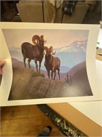 Sylvester Lee Lester Bighorn Sheep #35 of 1000