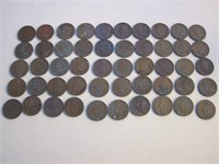 Lot of 50 Indian Head Cents