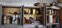 Contents of Cabinet, Garage Chemicals, Light