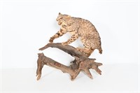 Taxidermied Bobcat