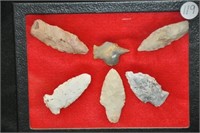 Riker of arrowheads from 1 3/4" to 2 3/4"