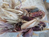 Crate of Indian Corn
