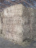 (10) Bales of Corn Fodder