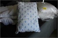 Pillows & Comforter