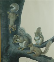 Ray Harm Gray Squirrel Print Signed Ltd Edition