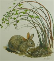 Ray Harm Cottontail Rabbit Signed Print