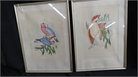 PAIR FRAMED WATERCOLORS - COCKATOO AND LOVE