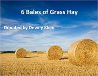 6 Large Round bales of Grass Hay