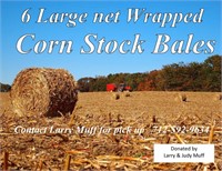6 Large net wrapped Corn Stalk Bales