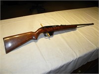 winchester 77 22cal