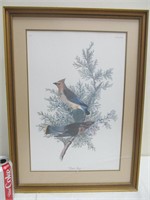 B102 Cedar Bird print, glass broken