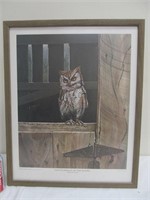 B99 Chairman of the Board owl print