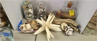 Starfish,Medium and Small Sea Shells,Driftwood