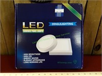 Dinglilighting LED Surface Power Light