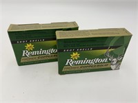 12 Gauge Remington Slug 10 Rounds