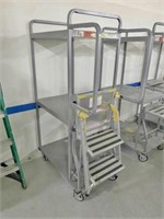 Rolling Cart w/Folding Step Ladder