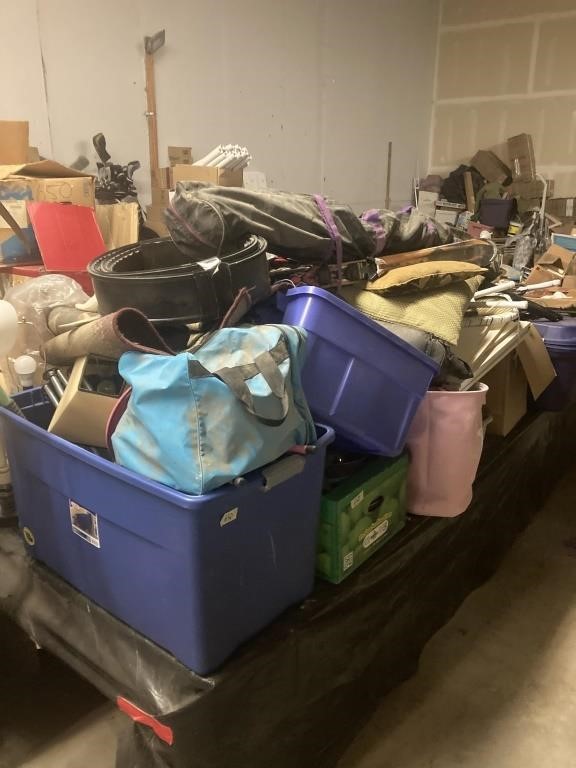 601- February 25th Weekly Consignment Auction