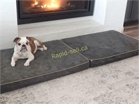 2 Go Pet Club Padded Dog Beds
