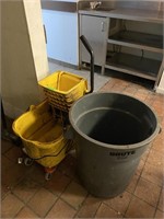 Rubbermaid Mop Bucket & Garbage Bin
