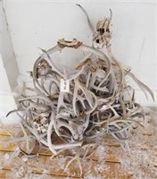 Pile of Chalky Antlers
