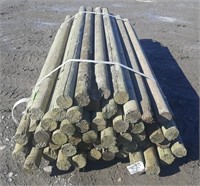 7' X 3.5"  Treated Fence Posts