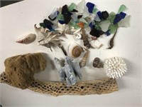 Nice collection of sea shells coral and sea glass