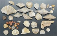 Various Fossils