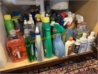 Contents Under Sink - Mostly Cleaning Supplies