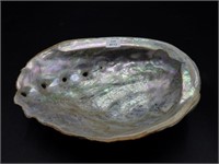 Natural abalone shell!