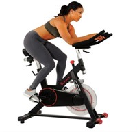 Sunny Magnetic Indoor Cycling Exercise Bike