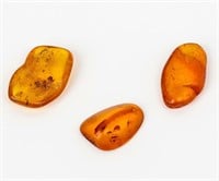 Jewelry Lot of 3 Unmounted Amber Pieces