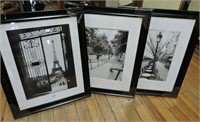 3 Framed Photos 19"x24