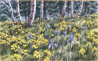 Dan Stouffer Watercolor Spring Meadow w/Birches
