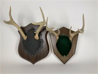 2 Mounted antler plaques