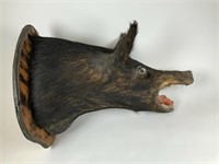 Mounted black boar head