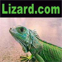 Lizard.com