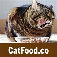 CatFood.co