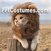 PetCostumes.com