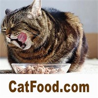 CatFood.com