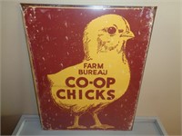 CO-OP Chicks